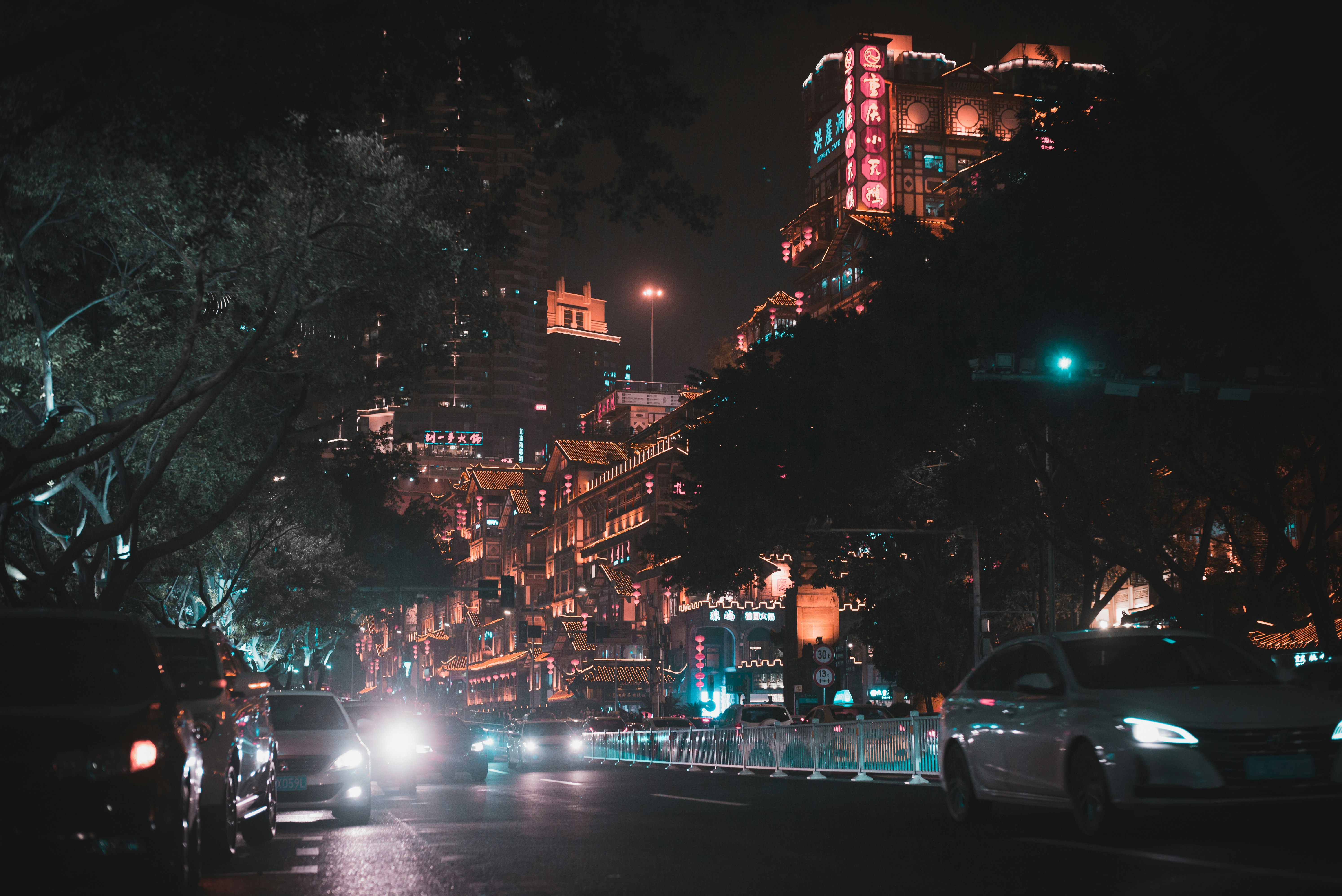 vehicles on road near trees and buildings at night